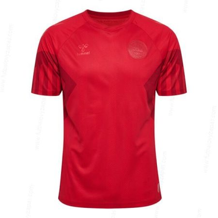 Futbalové tričko Dánsko Domáca Futbalové košele 2022